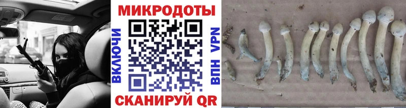 Псилоцибиновые грибы ЛСД  мега ССЫЛКА  Берёзовка  купить  